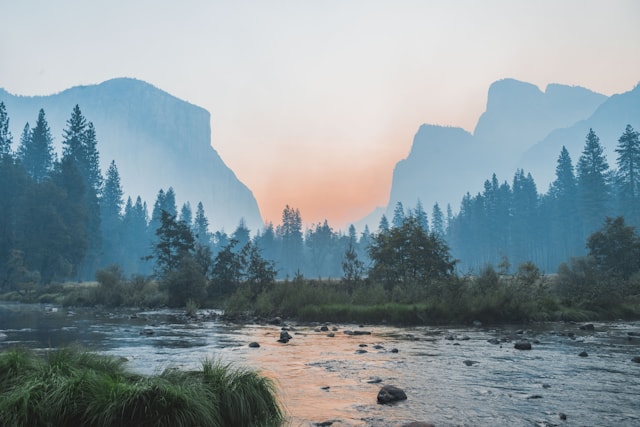 凤栖台封面